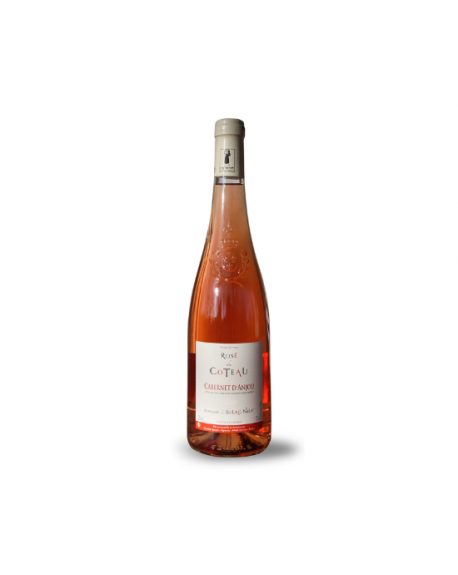 Domaine du Bourgneuf Rosé Cabernet d'Anjou AOP 2020